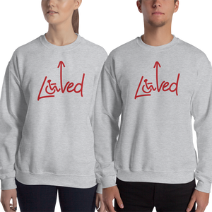 sweatshirt see possibilities not disabilities future worry parent parenting disability special needs parent positive encouraging hope