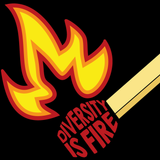 Diversity is Fire (Kid's Hoodie)