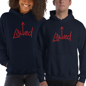 hoodie Loved arrow love disability disabilities wheelchair impaired special needs parent awareness diversity inclusion inclusivity acceptance