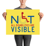 Not All Disabilities are Visible (Poster)