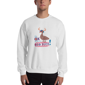 sweatshirt It’s OK to be an odd duck Raising Dion Esperanza fan Netflix Sammi Haney different bird