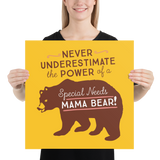 Never Underestimate the power of a Special Needs Mama Bear! Poster
