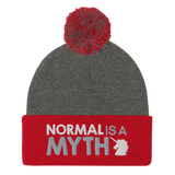 pom pom beanie normal is a myth unicorn peer pressure popularity disability special needs awareness inclusivity acceptance activism